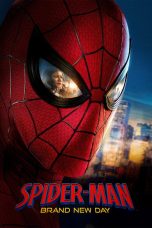 spider-man-brand-new-day-1
